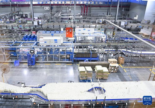 福建 向 新 逐 智 ,傳統(tǒng)產(chǎn)業(yè)長(zhǎng) 新枝