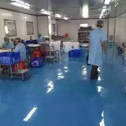 蝸蝸工廠 公司產品的強大，工廠必然是核心